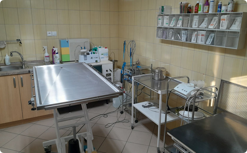 chirurgia veterinar krasno nad kysucou