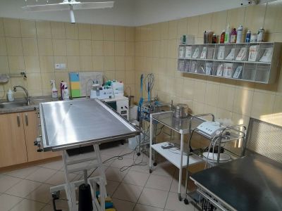 krasno-nad-kysucou-veterinarna-ambulancia-009