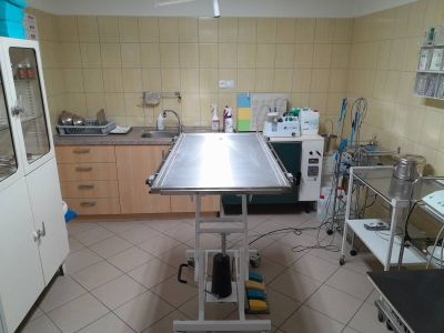 krasno-nad-kysucou-veterinarna-ambulancia-010