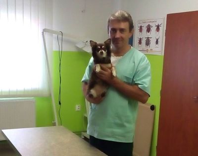 veterinar-krasno-nad-kysucou-1